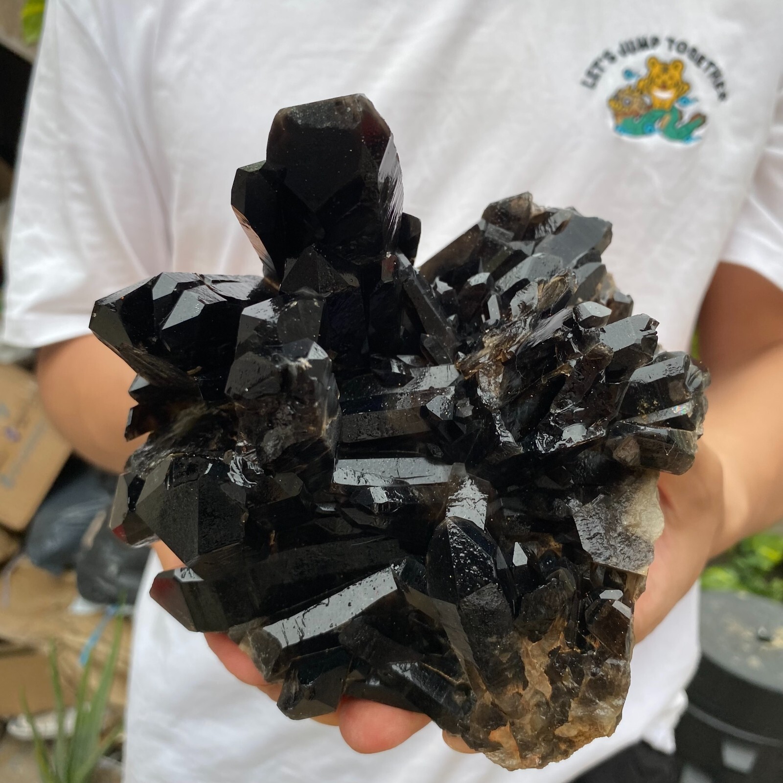 3.8lb Natural Black Smoky Quartz Crystal Cluster Raw Mineral Specimen