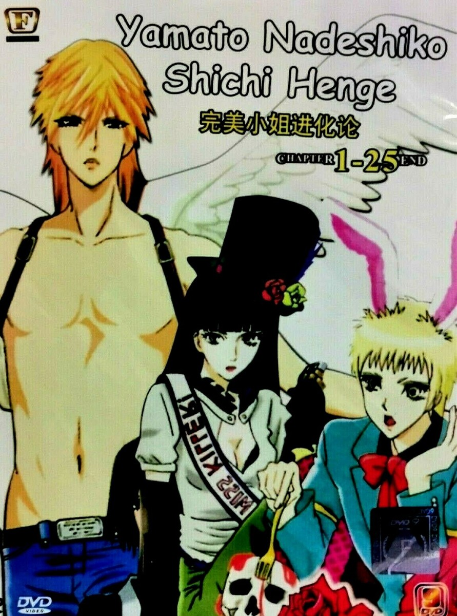 名画への扉付き！ギルダ：未開封DVD DVD Yamato Nadeshiko Shichi Henge TV Series 1-25 End The