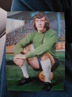 The Sun 3D Football Stars Card - Pat Jennings of Tottenham Hotspur