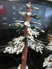 Bild 5 von 8