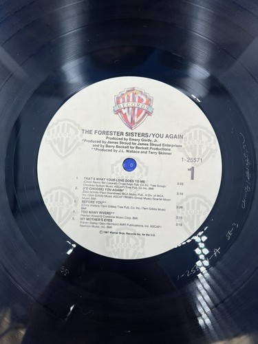 The Forester Sisters – You Again Vinyl, LP 1987 Warner Bros. Records – W1-25571 - Picture 3 of 3