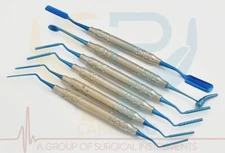 6 Pcs Dental BONE GRAFT SET Grafting Plugger Scoop Dental Instruments CE