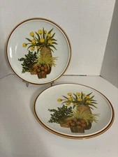 Mikasa Natural Beauty Cache Pots Dinner Plates Set 2, C9035