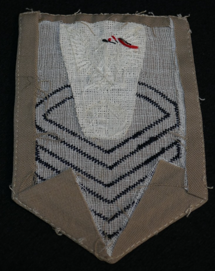 Teschio E Tibie Incrociate - Wikipedia - Foto 9