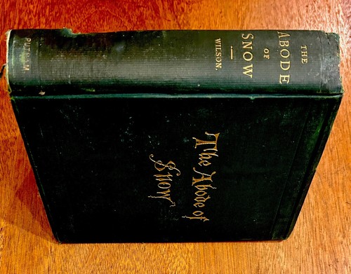 WILSON Abode of Snow Chinese Tibet Indian Caucasus Himalaya 1875 - Picture 6 of 6