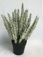 Erika Im Topf - Calluna Kunstpflanze Kunstblume KüNstliche Erika, 27 Cm Creme