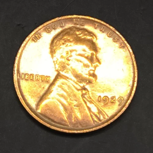 1929 P Lincoln Wheat Penny – AU/BU Deep Red Luster – Stunning Eye Appeal