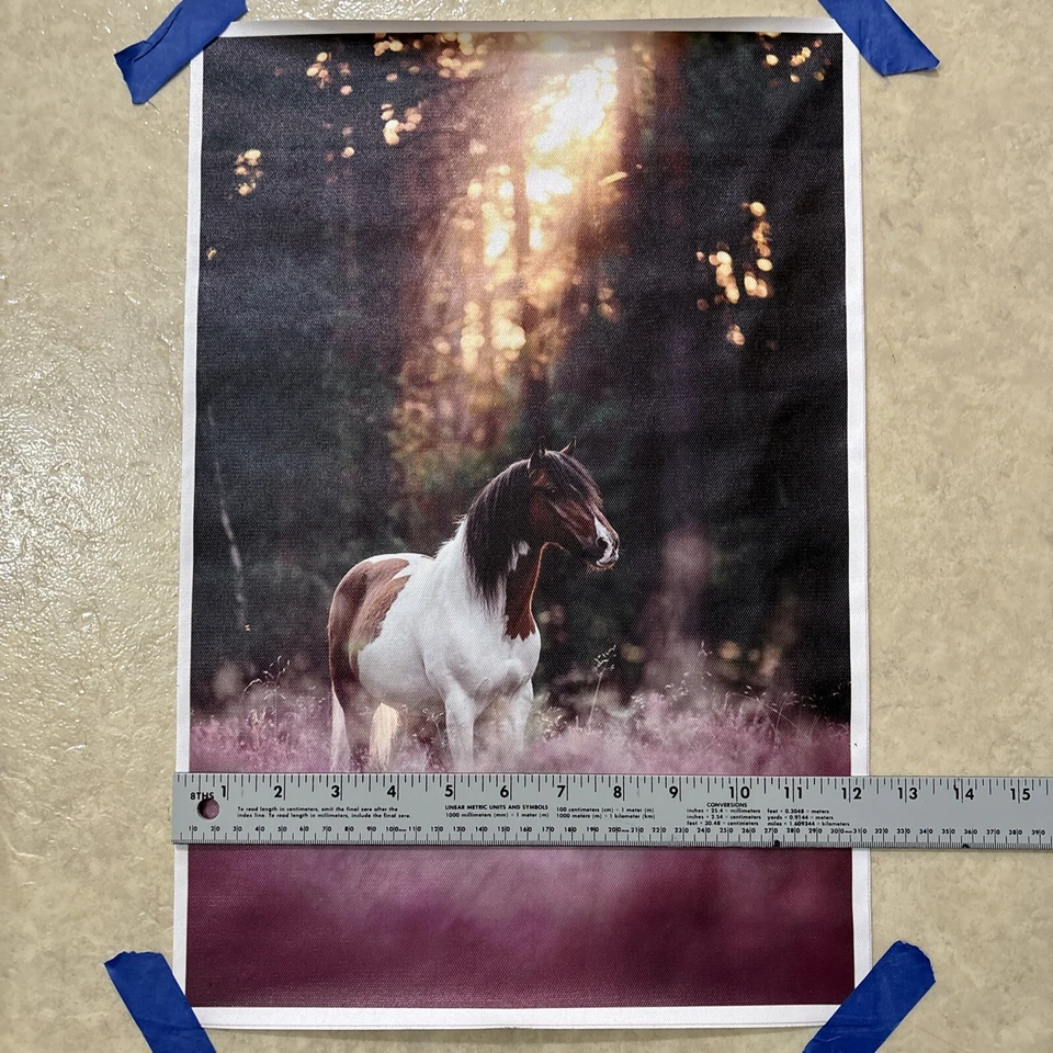 Caballo salvaje - Decoración ✅ Arte de pared con impresión de póster en lienzo de animales ✅ 12x18 pulgadas - Sin marco Foto 3 de 4