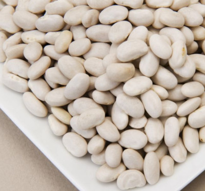 *BULK* Great Northern Beans Non-GMO, Raw, Sproutable, Fresh BB 08/2027