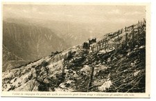 A638 - 1° WW. - Battaglia del Piave 1918 - NON VIAGGIATA