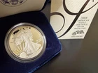 2008 US Mint "W" American Eagle One Once Silver Proof Coin
