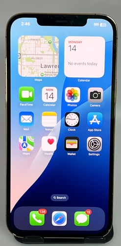 Apple iPhone 12 Pro Max 128GB Gold Unlocked -Spots on Portrait & 3x Cam - Read