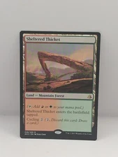 MTG Magic the Gathering Sheltered Thicket (84/137)  NM
