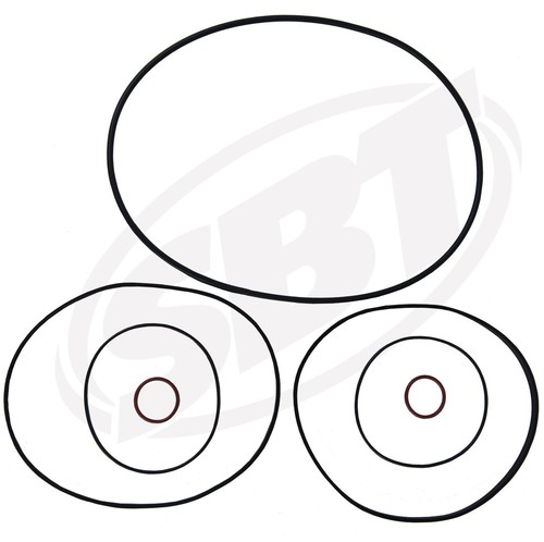 Kit de juntas tóricas Sea-Doo Head 1998 1999 2000 2001 2002 GTX RFI 1999 2000 GSX RFI - Imagen 3 de 5
