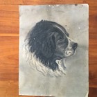 Foto 2 di 5