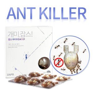Ant-Killer-Bait-Station-Nest-Trap-Kills-all-common-household-ants-6-Packs