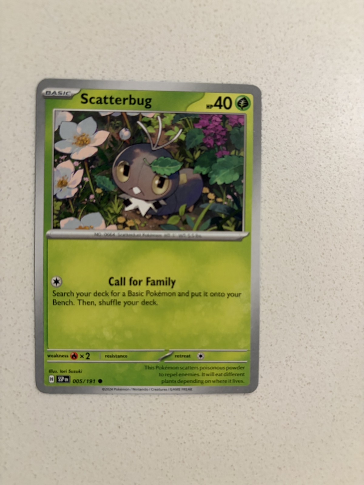 Scatterbug Common SV08: Surging Sparks 005/191 NM