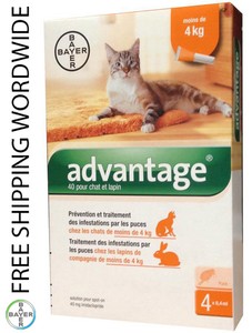 advantage small cat 4 pack