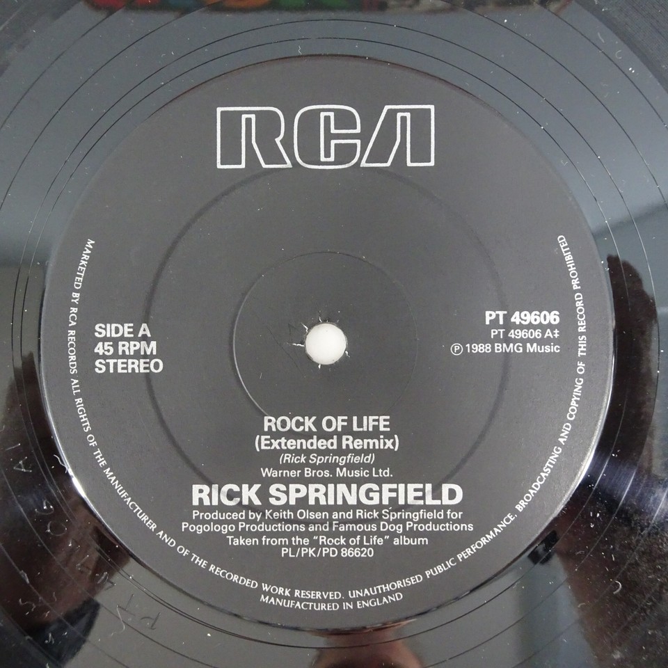 Rick Springfield - Rock Of Life 12