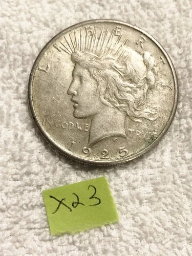 1925 LIBERTY PEACE SILVER DOLLAR FINE CONDITION LOT #X23