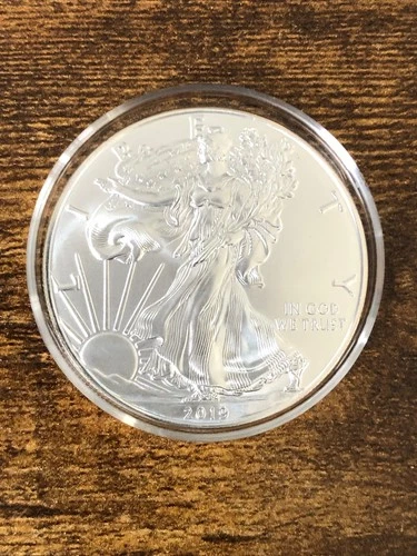 2019 WALKING LIBERTY AMERICAN EAGLE .999 FINE SILVER DOLLAR COIN 1oz. $1 USA BU