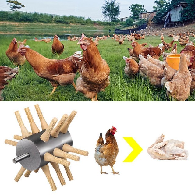 Chicken Plucker Drill Attachment Stainless Steel Chicken Fingers N1 Plucker Y9F9 Chicken Plucker Drill Attachment Stainless Steel Chicken Fingers N1 Plucker Y9F9