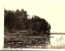 1927  CHERRY CREEK NY SHORELINE WELLS NEW YORK RPPC POSTCARD P2840