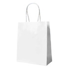 50 Pcs Recycling Retail Merchandise Small Gift Bag ready for Party, Shopping