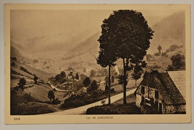 Col de Surceneux Vosges c1910 France Mountain Village Panorama Vintage Postcard