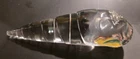 Steuben Sea Shell - Auger - Nassa - 4.5" Long - Signed