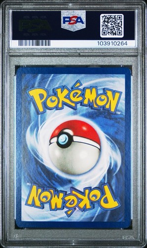 1999 POKEMON BASE SET SPANISH 1ST EDITION WARTORTLE #42 PSA 8 - Picture 2 of 2
