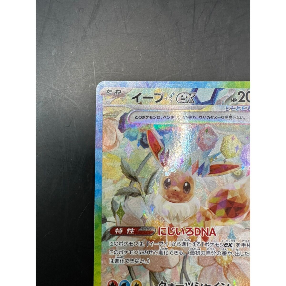 Eevee ex SAR 223/187 Terastal Festival sv8a Pokemon Card Eevee ex SAR 223/187 Terastal Festival sv8a Pokemon Card
