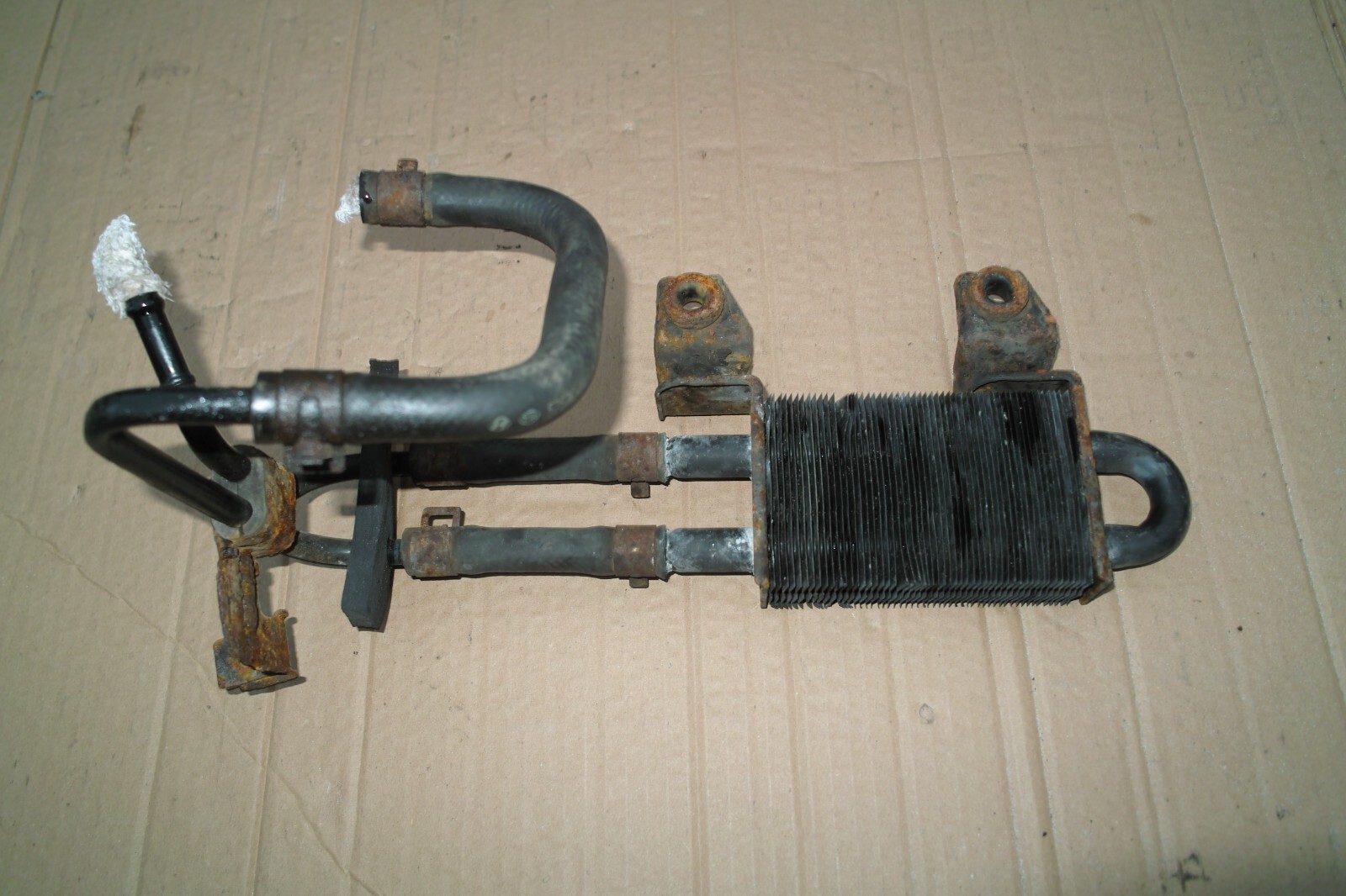 Picture 5 of 11
