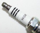 Foto 7 di 8