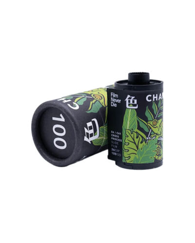 2 Rotoli x FilmNeverDie CHAMELEON 100 36exp 35mm 135 E-6 pellicola di inversione diapositiva