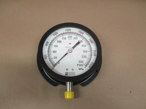 WEKSLER ROYAL GR4-D 330-3 STAINLESS STEEL 0-600 PSI GAUGE   NEW