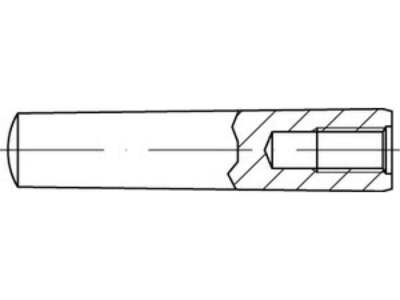 5 x Kegelstifte mit Innengewinde,Kegel 1  50,geschl. ISO 8736 9S20K A 20 x 100 V