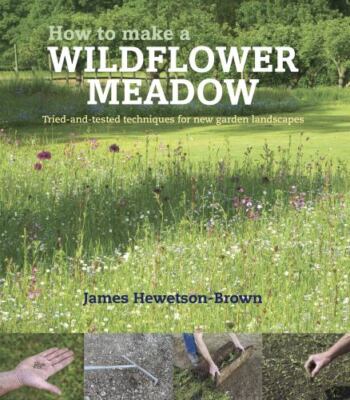 How to Make a Wildflower Meadow: Tried-and-Tested Techniques for New Garden Lan