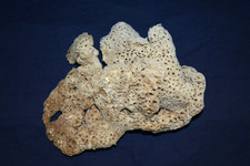 Large Unbleached Natural Sea Sponge 8 1/4"X 6 1/4" Marine Coastal Beach Decor