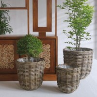 Natur Rattan Pflanzkorb Borkum Kubu Grey Ca.40Cm Pflanztopf ÜBertopf Korb