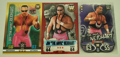 AEW NXT WWE Wrestling Performer Superstar 3 Card Lot - Jim The Anvil Neidhart