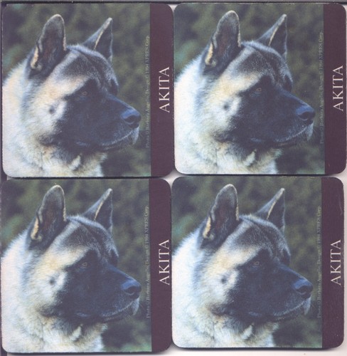 1994 Vintage Akita Dog Head Study Photo Rubber Coasters Set of 4 Very Handsome!