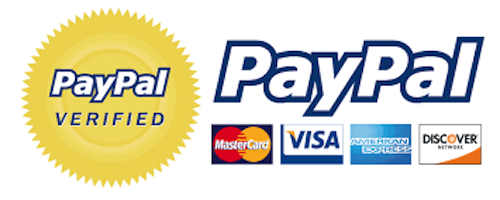 PayPal Visa logo