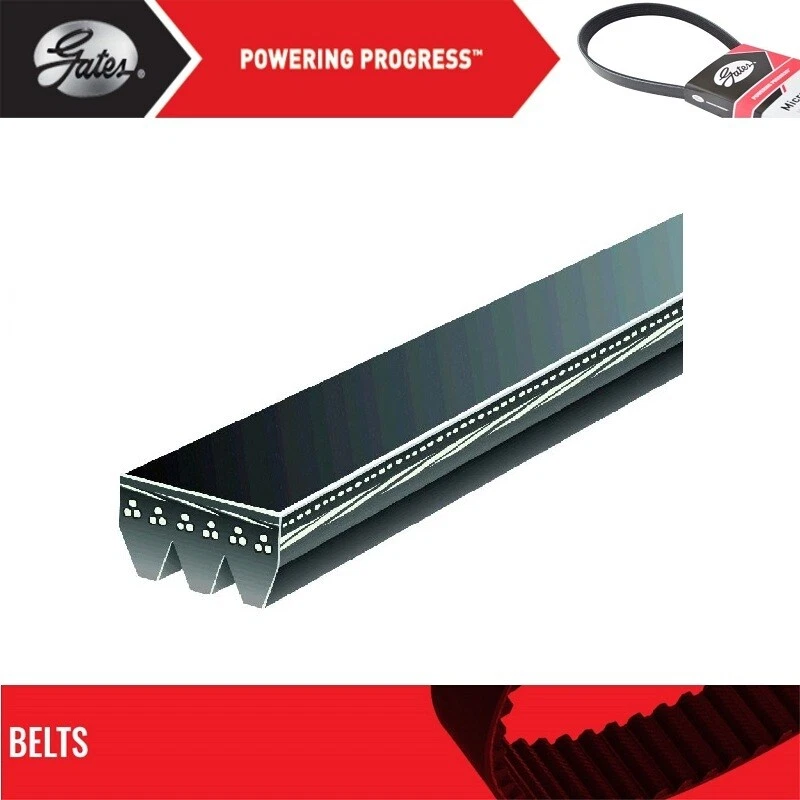 Cinturón GATES OE Micro-V para Pontiac Grand Prix 1993 V6-3,1 L Foto 2 de 4