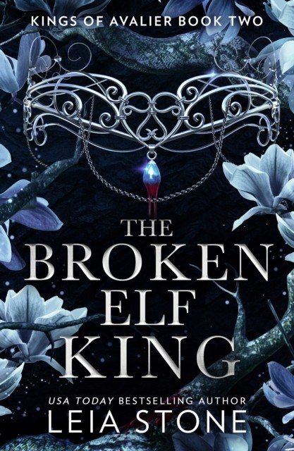 The Broken Elf King by Leia Stone (Paperback Book)