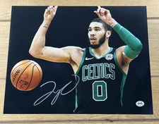 Jayson Tatum Signed Photo 11x14 Poster Boston Celtics #0 w/COA