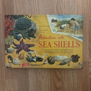 Vintage 1957 Adventure With Sea Shells A Capitol Adventure Kit And Book