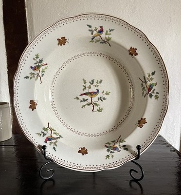 Spode Randall's Birds Muster Salatschüssel Teller mit bunten Vögeln