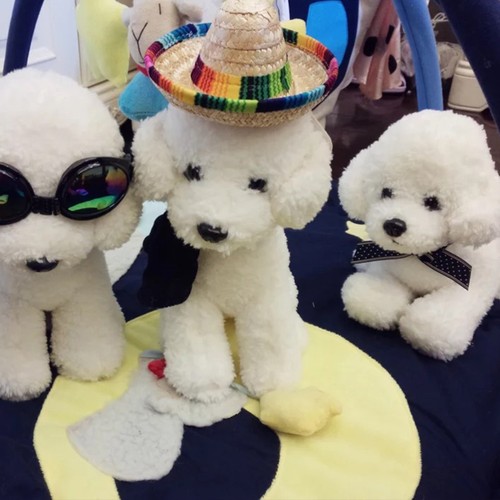 3 Pcs Hat Mother Child Bucket Hats Mexican for Dog Fisherman - Picture 6 of 11