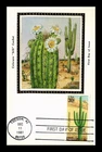 Saguaro Cactus 20C Colorano Silk Cachet First Day Issue Max Card